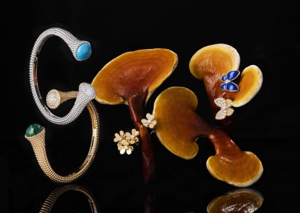 Jewellery shoot – Seeing Six
