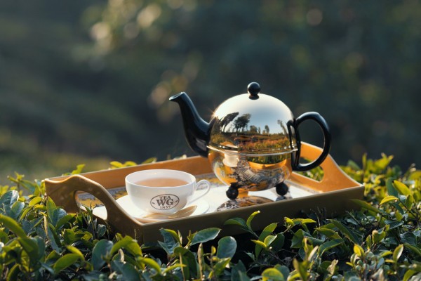#legendasks: Why is Darjeeling tea all we can talk about?