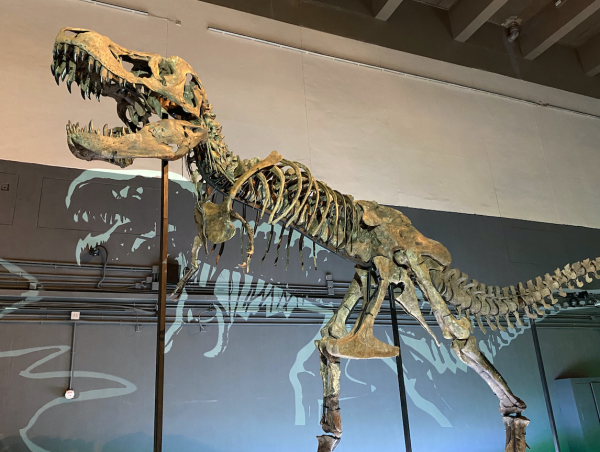 Eight of the rarest dinosaurs unveiled in Hong Kong