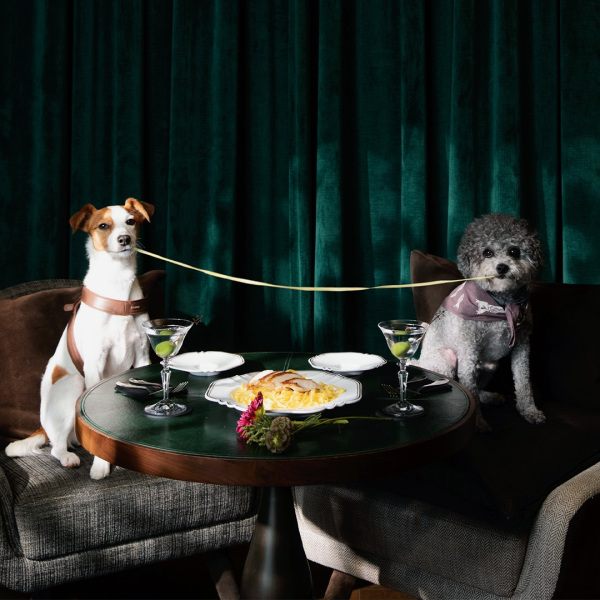 International Dog Day: 9 pet-friendly restaurants in Hong Kong