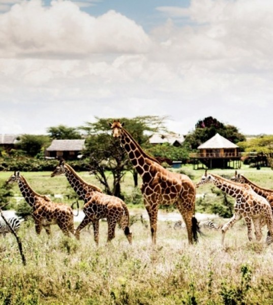 A Retreat Framed Under Kenya's Picture-Perfect Skies