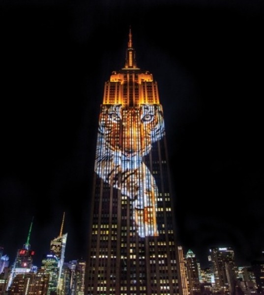 How Documentaries Are Aiding the Fight Against Extinction