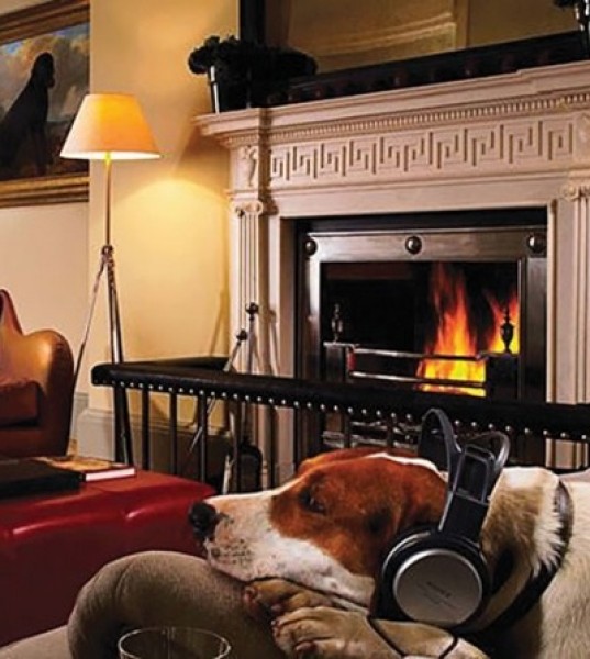 Living the Dog Life at The Kennels, a Private Members Club