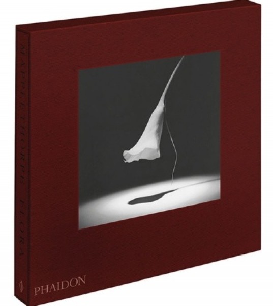 LACMA and Getty Showcase "Robert Mapplethorpe: The Perfect Medium"