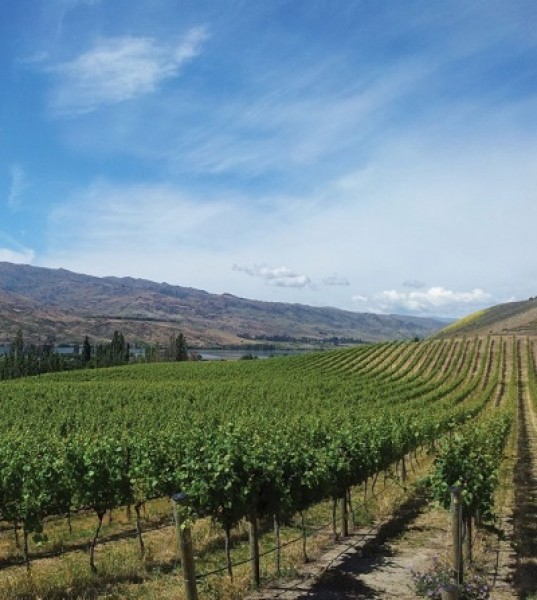 Winemaking Duo Create a Life Around Pinot Noir
