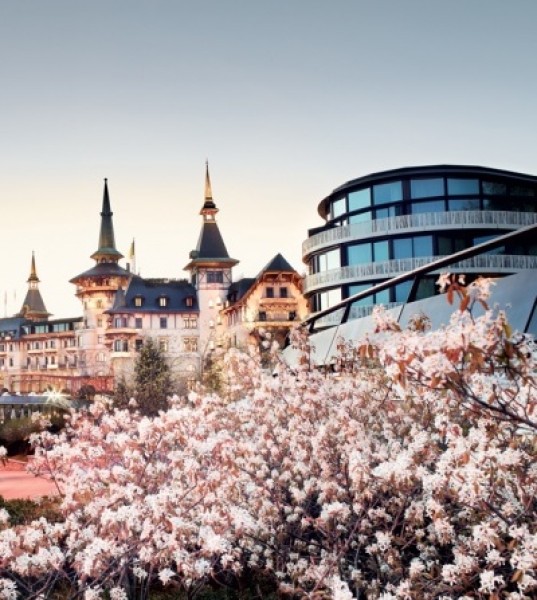 Historic Swiss Hotel Grander and More Modern With Age