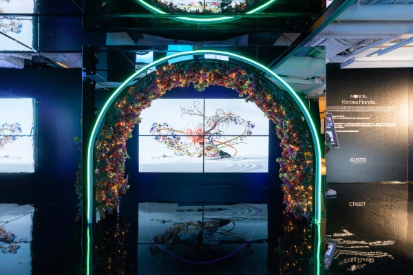 LG: Digital display options for digital art collections