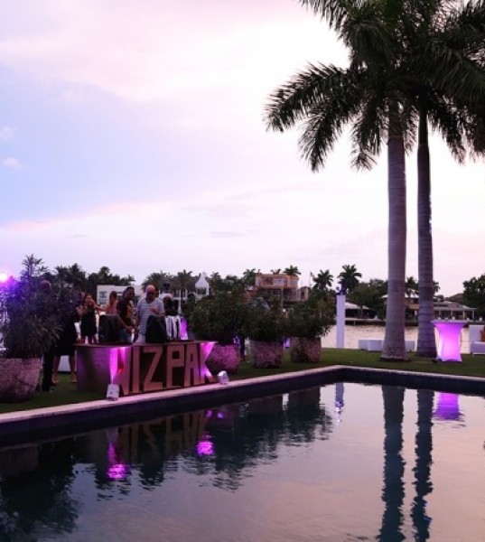 Chris Brown Hosts WizPak Launch Party