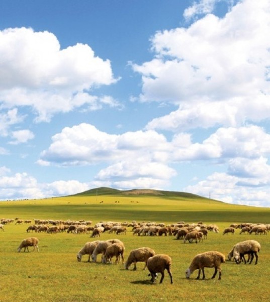 Inner Mongolia: The Fairest of All