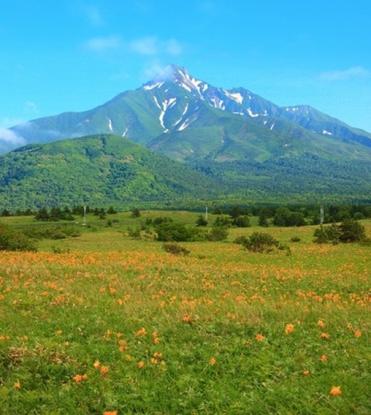 Hokkaido Reigns Supreme in Lonely Planets First "Best In Asia" List