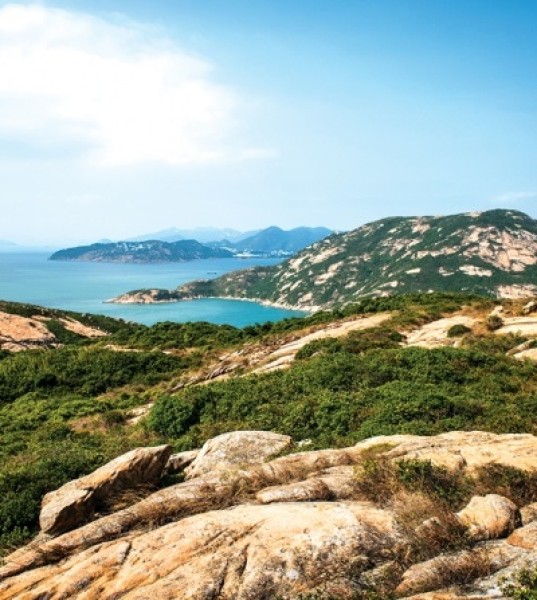 Laurel Chor: 5 Surprising Facts About Hong Kong's Wildlife and Natural Beauty