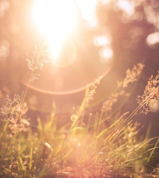 Weekend To-Do: A Morning Dance Party at First Light