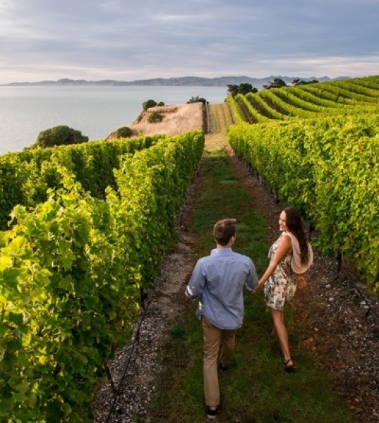 Discovering New Zealand's Food and Wine with Luxe Travel