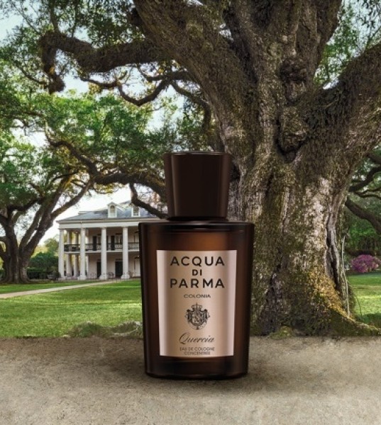 Men's Fragrances That Are All About That Base