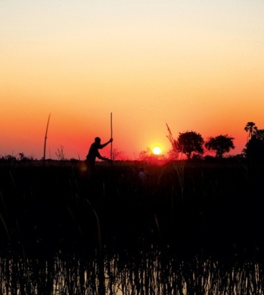 Botswana Serves Up Nature in the Raw