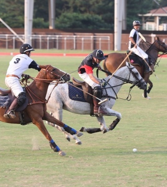 Polo After Dark Party Celebrates Revival of Prestigious Sport in the City