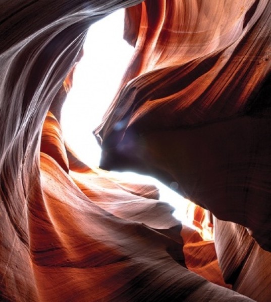 Natural Inclination to Beauty