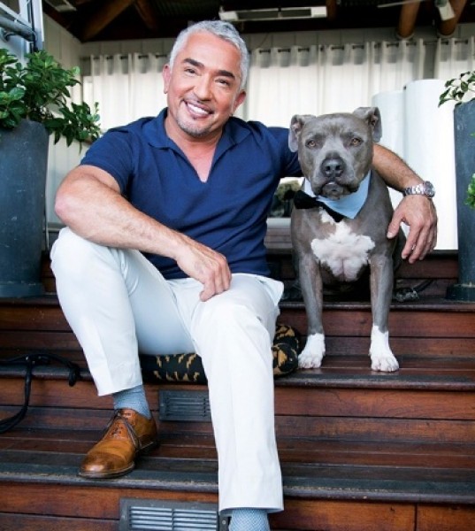 Dog Whisperer Cesar Millan Shares His Canine Wisdom