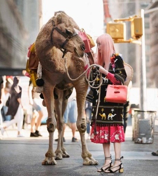 Top Model Fernanda Ly Walks Camel in Midtown Manhattan