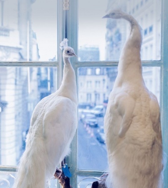 Discover Paris with Chaumet's New Travel App for Couples