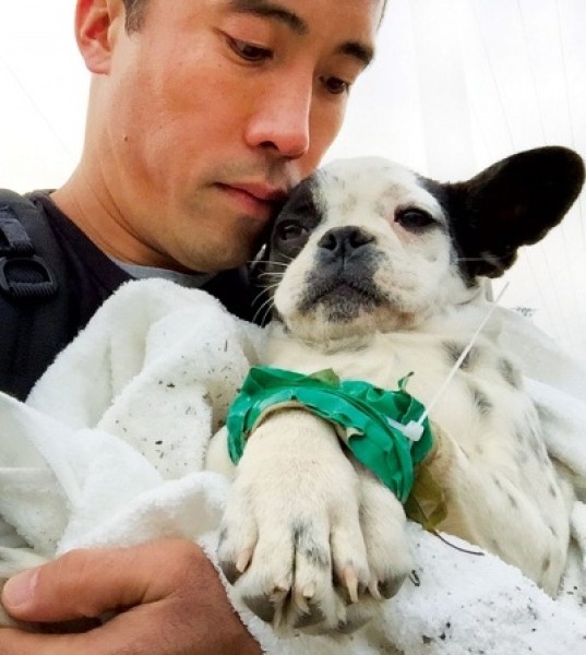 Marc Ching Risks Everything to Save Dogs From Chinas Meat Trade