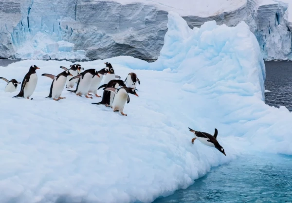 Huawei reveals 57 photography award winners