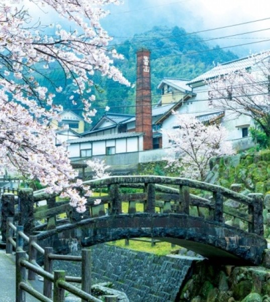 A Food Lover's Guide to Fukuoka