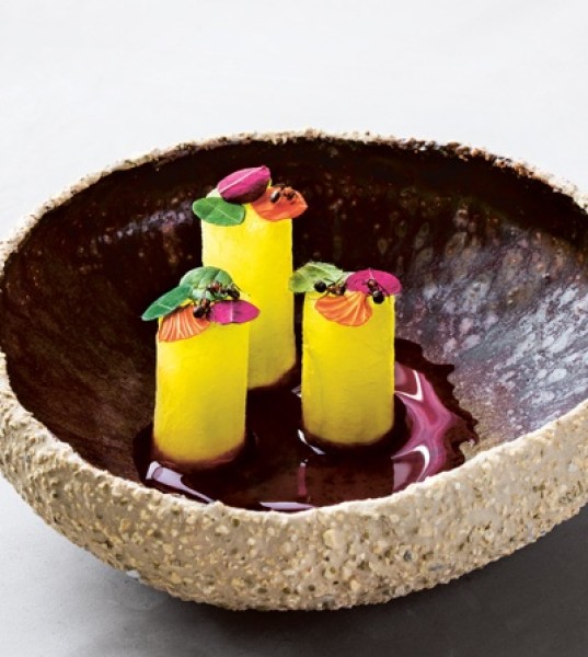 Eating Insects: The Future of Food
