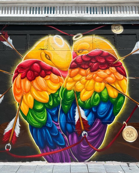 Artist Sam Lo on birds, pride and making art for the people
