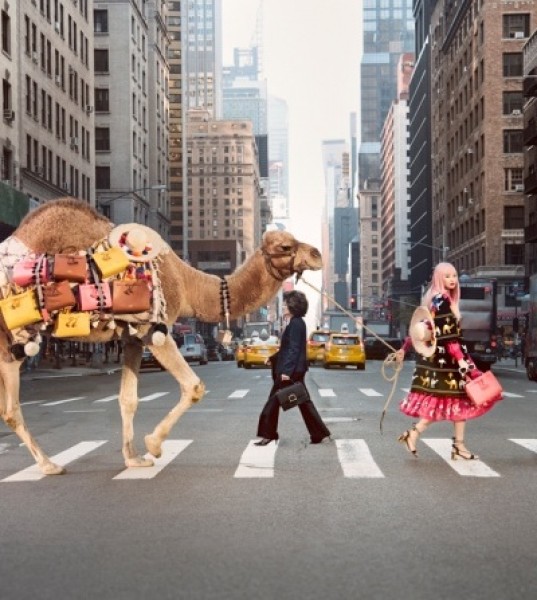 Kieran Ho On Coach's Kate Spade Purchase