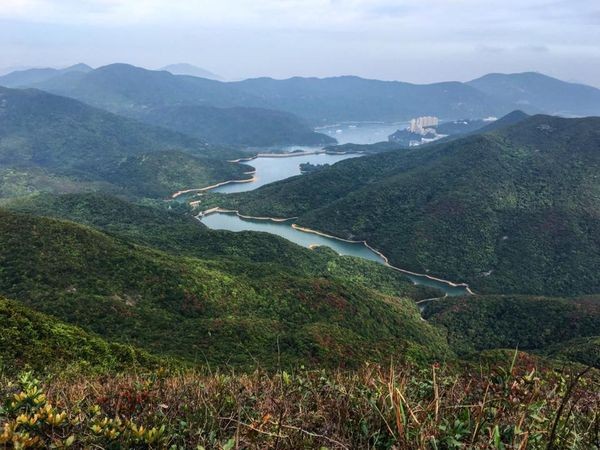 Hiking trails in Hong Kong to check out