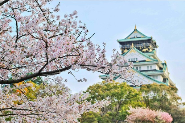 Top 5 places in Japan to see cherry blossoms