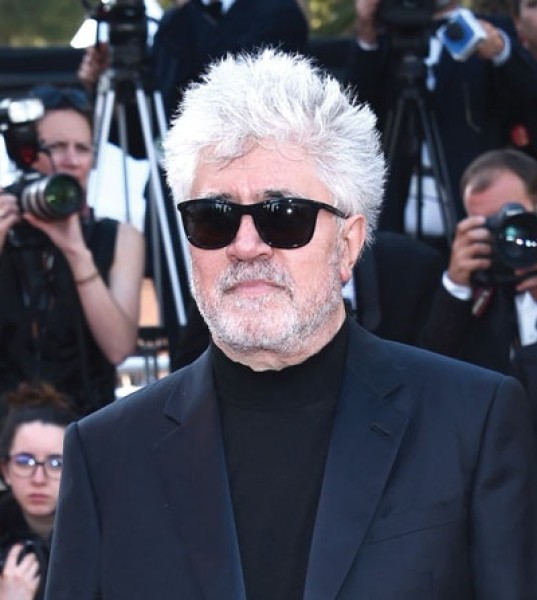 Annual Cannes Film Festival 2017
