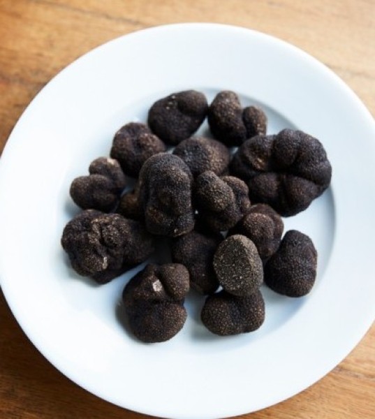A Beginner's Guide to Truffles