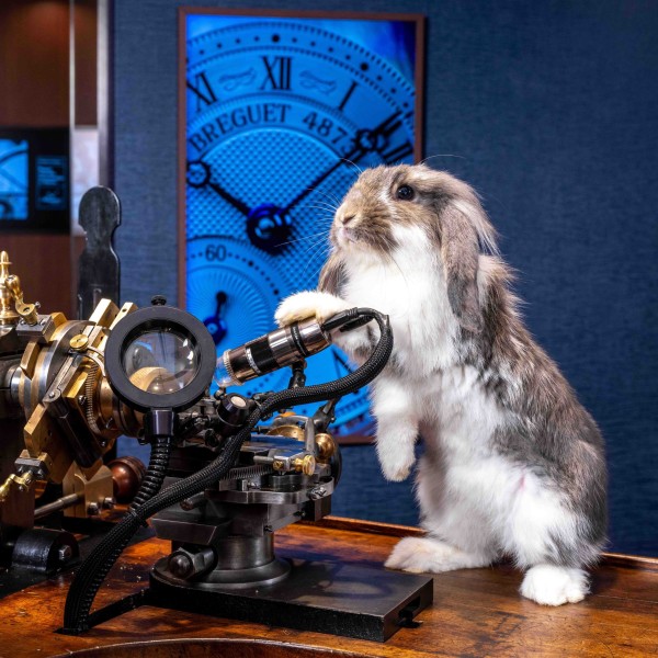 Breguet unleashes luxury for pets in Hong Kong