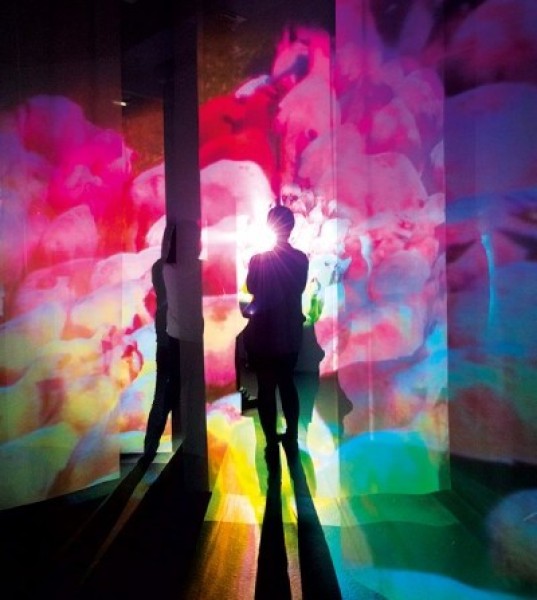 Pipilotti Rist Takes Risks for Art
