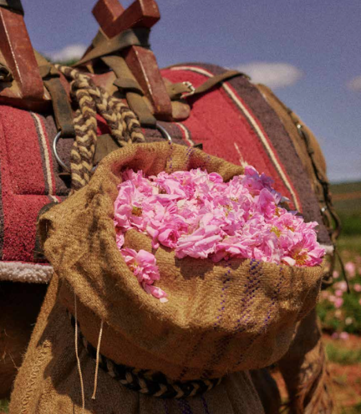 Henry Jacques: Collection de l’Atelier brings the harvest of rose to nose