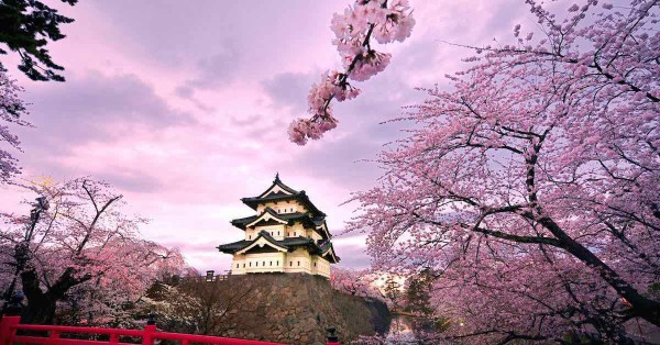 Where to see Sakura around the world
