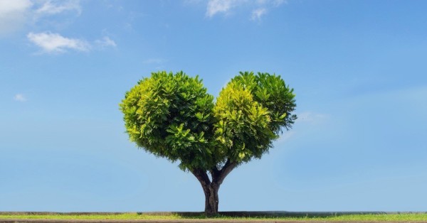 How to celebrate Earth Day 2018 in Hong Kong