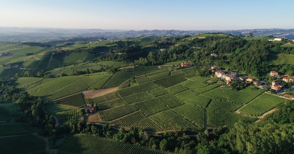 The flavours of Piedmont: white truffles and so much more