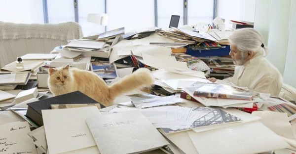 Choupette Lagerfeld – Life after Karl