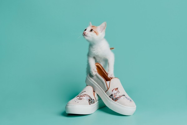 For cat lovers out there – Shanghai Tang's campaign is one you'd want to support