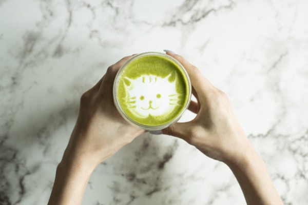 Coffee for cats: A purrfect collaboration between PETA and Green Monday