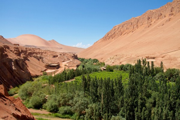 Puchang Vineyard: From Turpan Valley to the world
