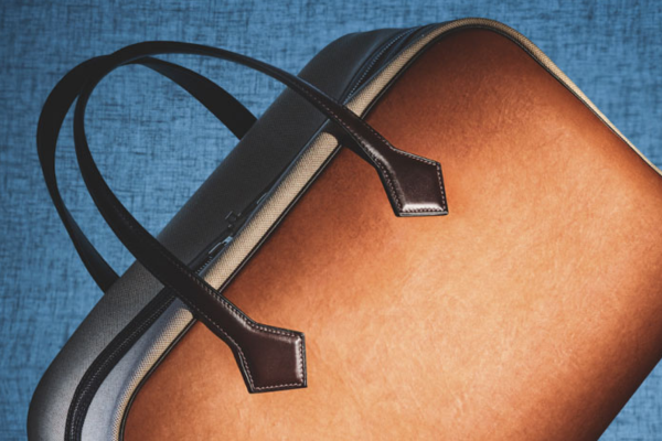 Hermès to release mushroom-based 'leather' bag with MycoWorks