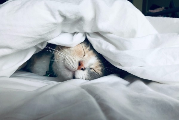 World Sleep Day: 5 apps to help you catch some zzz's