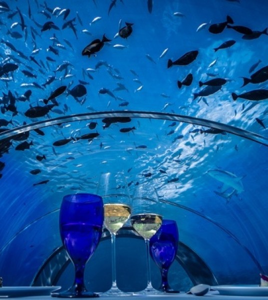 Dine in the Deep At Hurawalhi Island Resort and Spa in the Maldives