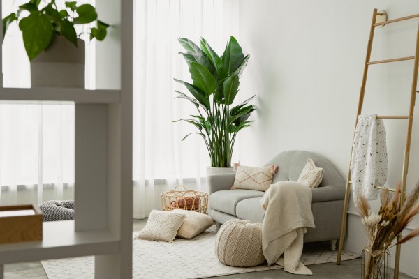 Marie Kondo time: Spring cleaning tips from Hong Kong interior stylists