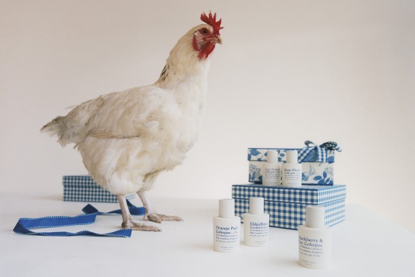 8 refreshing new scents for summer