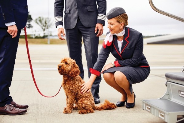Private jet pet relocation on the rise